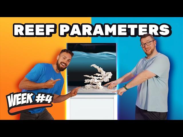 12 Week Reef | Video 4. Aquarium Golden Rules Feat. Sam Parker