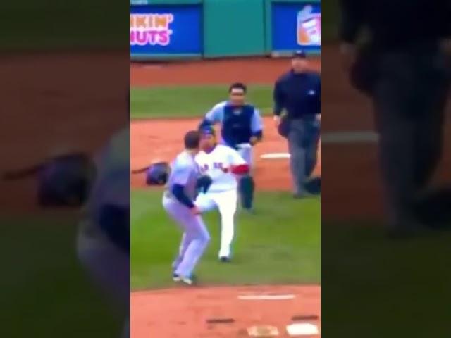 Cold MLB fight photo