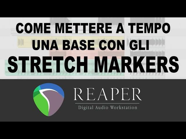 Reaper - STRETCH MARKERS