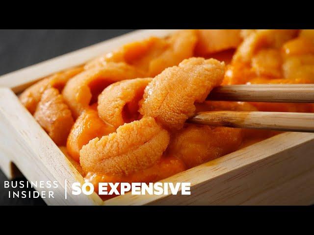 Why Sea Urchins Are So Expensive | So Expensive