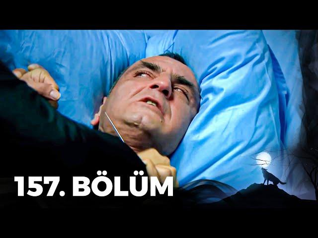 Kurtlar Vadisi Pusu - 157. Bölüm FULL HD