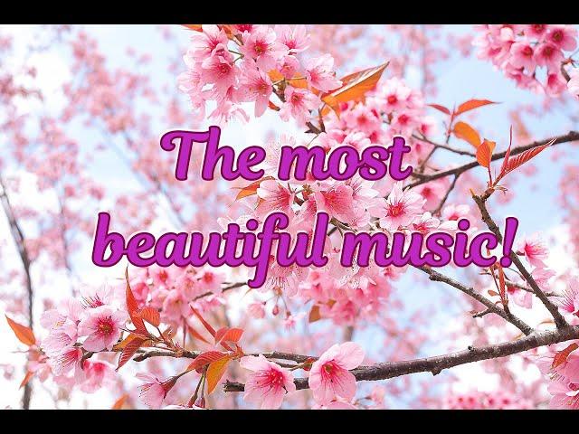 THE MOST BEAUTIFUL MUSIC!30 MINUTES OF CLEANSING FROM NEGATIVITY AND STRESS!MUSIC BY SERGEY GRISCHUK