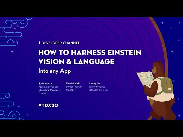 How to Harness Einstein Vision and Language in Any App