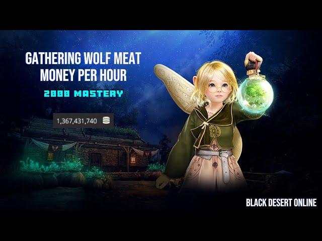 [BDO] Gathering Wolf Meat - 2000 Mastery - Money Per Hour - 2024