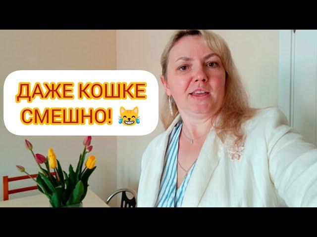 НА РАБОТУ ОНА СОБРАЛАСЬ! Тенерифе. Испания. 08.03.2025