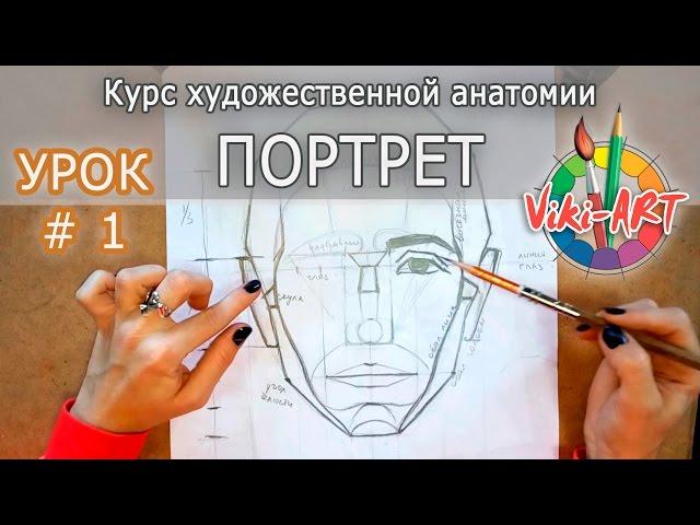 How to draw a portrait: FULL DISCARD! Proportions of head and face. Anatomy. StudioVikiART