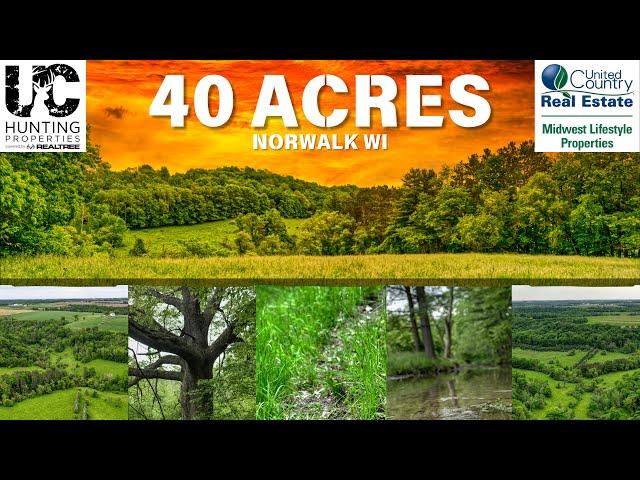 40 Acres of Prime Hunting Land for Sale | Secluded Retreat with Streams and Mature Hardwoods