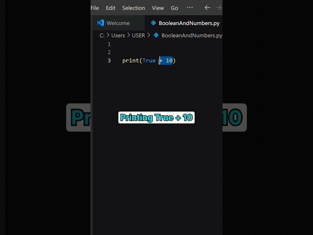Python's Trick : Add Booleans and Integers! () | FOURDCODER #pythonforbeginners #learnpython