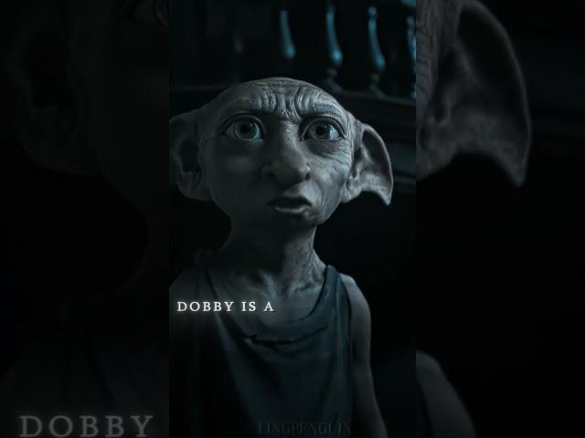 #harrypotter  Dobby is a free elf ( suscríbanse a @FallingPenguin)