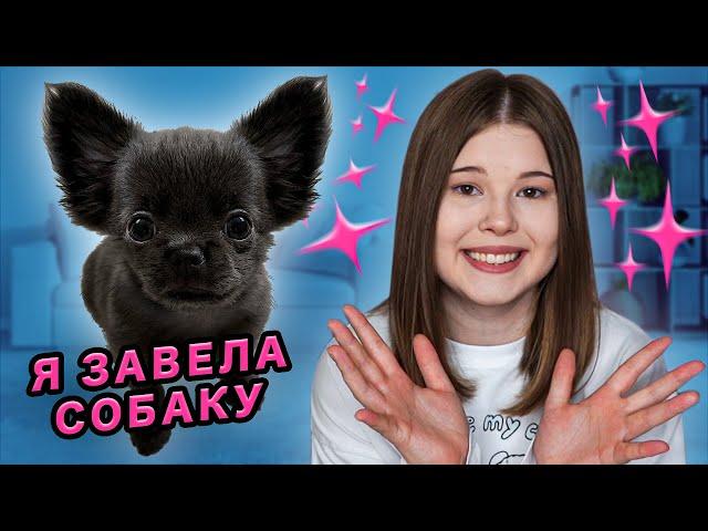 Я ЗАВЕЛА ЩЕНКА