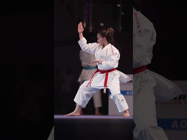 Anil vahdat Shariatpanahi. Gold medal in world karate youth league championship in uae Fujairah 2024