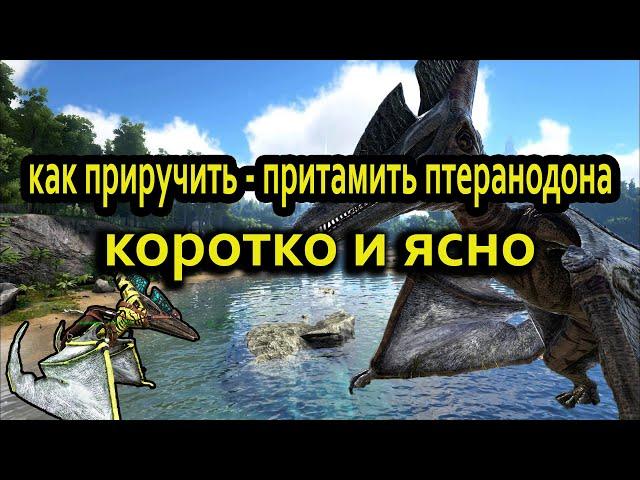 Как приручить птеранодона  коротко и ясно !!! Ark: Survival Evolved. ГАЙД