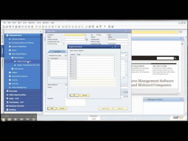 How to Import/Export Data from Excel in SAP Business One.mp4