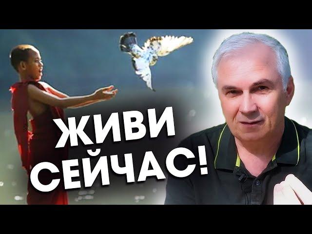 Синдром отложенной жизни, как жить здесь и сейчас? ⏰ Александр Ковальчук  Психолог Отвечает