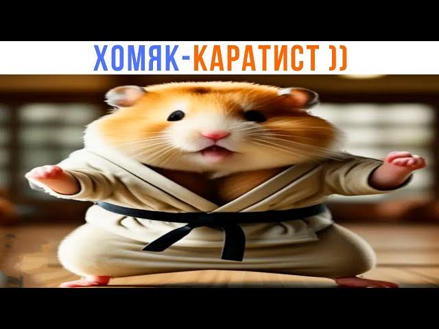 ХОМЯК-КАРАТИСТ ))) Приколы с хомяками | Мемозг 1435