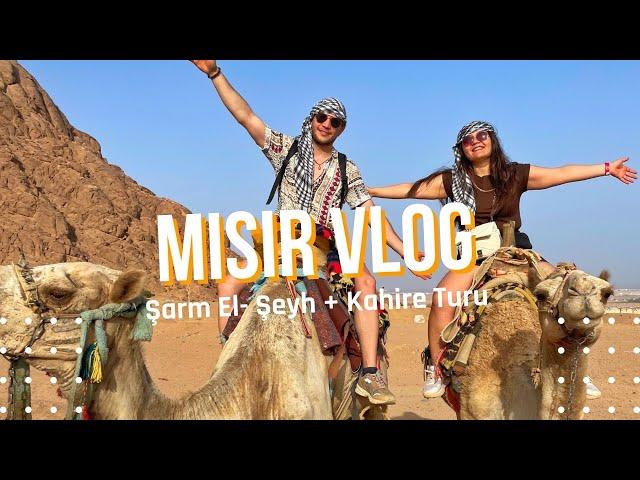 Mısır Vlog ( Şarm El-Şeyh+ Kahire Turu)