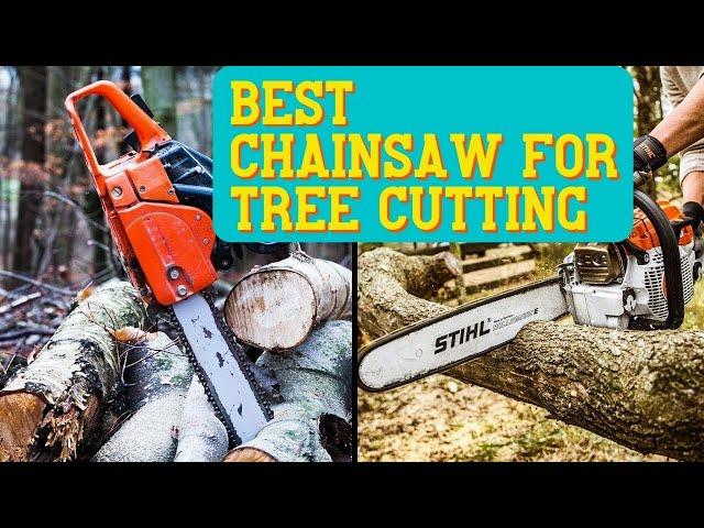 Best Chainsaw For Tree Cutting. Get The Best One | The Tool Advisor