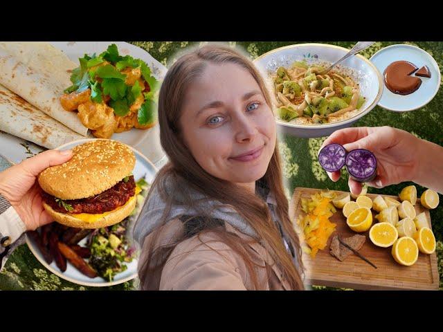 Vegan what I eat in a day    wild watermelon, burgers, butter tofu