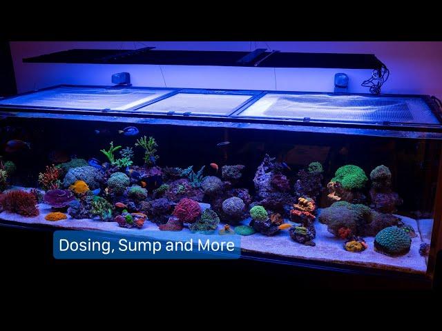 Waterbox REEF LX 340.7 - Sump, Dosing and More