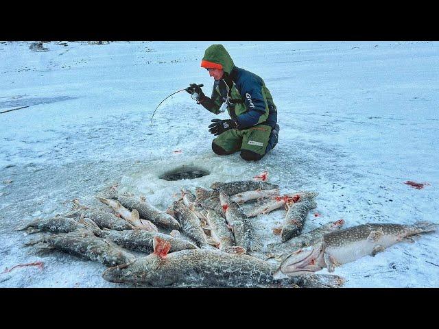 НАШЁЛ ЩУЧЬЕ ЛОГОВО!! ЩУКА В КАЖДОЙ ЛУНКЕ! Первый лед 2024-25. Зимняя рыбалка.