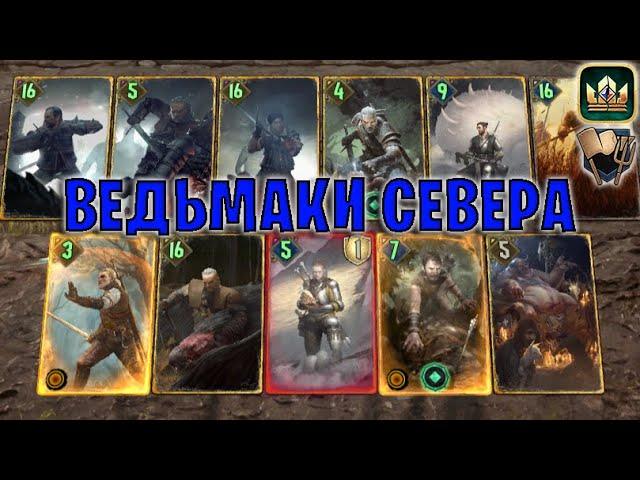 GWENT | ВЕДЬМАКИ КОЙОН — ВЕДЬМАКИ СЕВЕРА (Ополчение) — гайд | Гвинт Патч 12.8