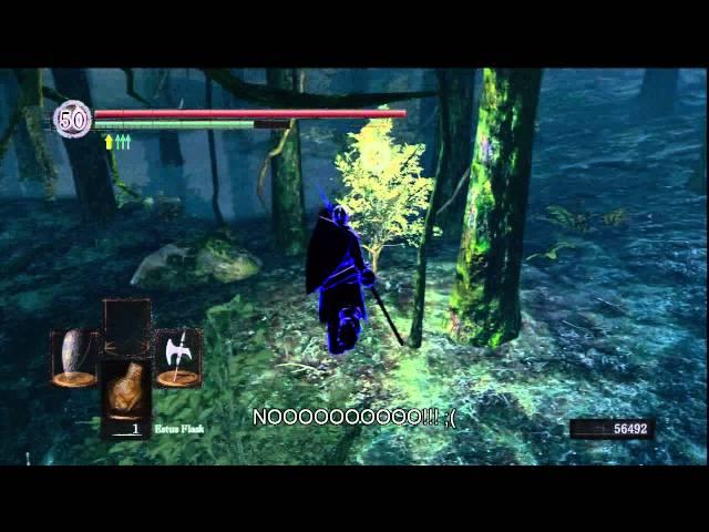 Dark Souls PvP: Avenging an Ally