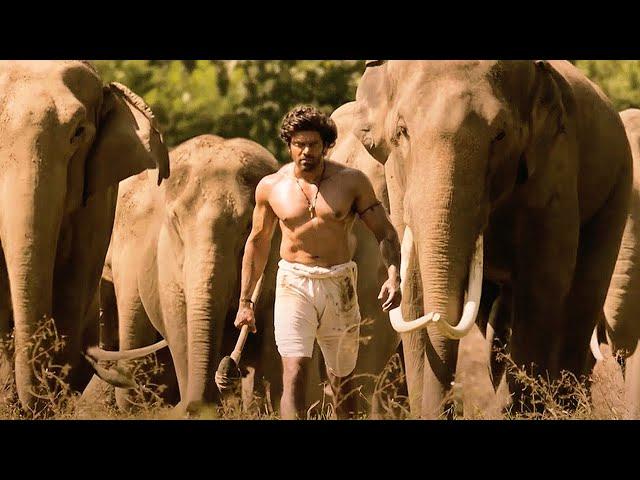 देखिये कैसे Arya और उसके साथियों ने दुश्मनों को मार कर जंगल को बचा लिया | Kadamban | Catherine Tresa