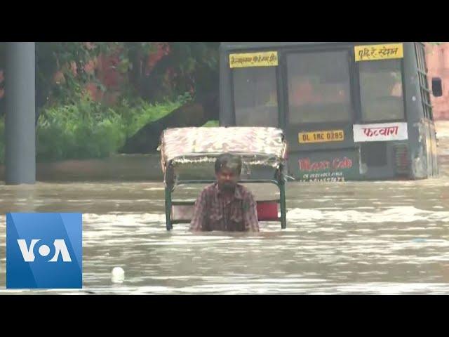 Rickshaw Driver Pedals Through Flooded Indian Street | VOA News