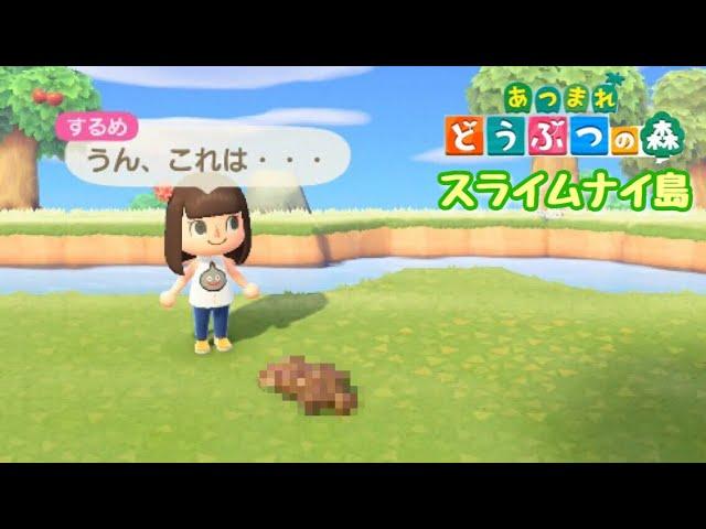 【あつまれどうぶつの森】新しい住人きたよ！【あつ森#5】