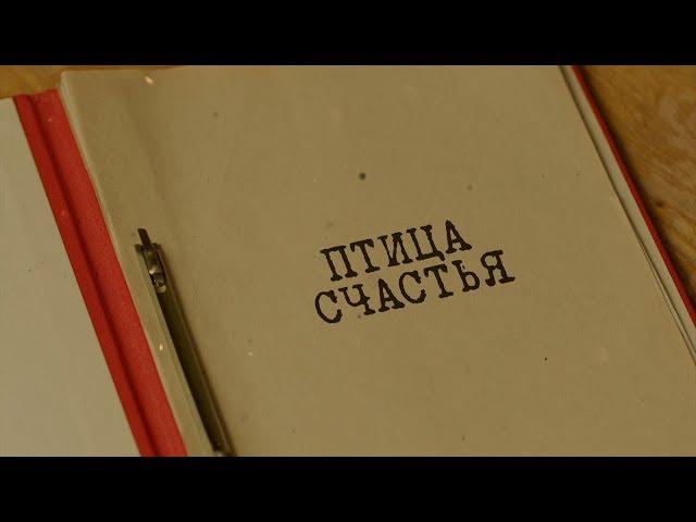 Птица счастья | Вещдок. Особый случай. Роковая страсть