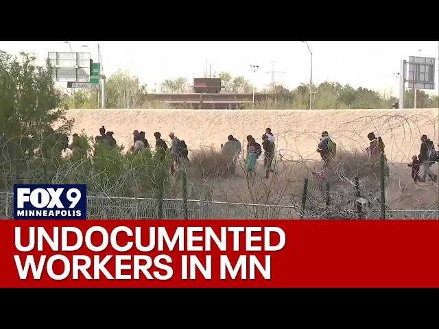 Trump clarifies plans for mass deportations, how does it affect MN?