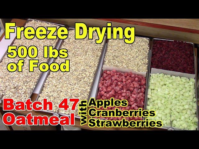 Freeze Drying Your First 500 lbs - Batch 47 - Dry Oatmeal with Fruit, Part 1 of 2 (with rehydrating)