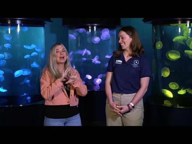 Ashley Meets the Trolls of the Virginia Aquarium!