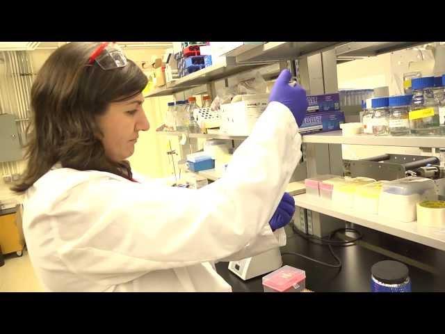 ACERT, Cornell University - Facilitating Modern Biochemistry, Biomedical and Biophysics Research