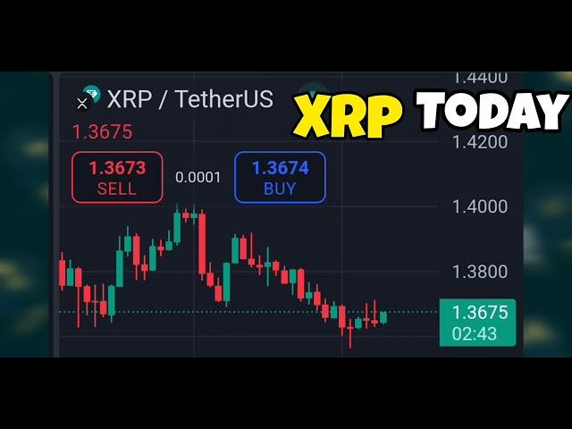 BOOOM XRP Trading View 5 minutes Price #xrp