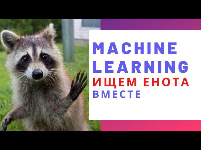 MJC Stream: See the raccoon? And he is! The main thing about ML and computer vision