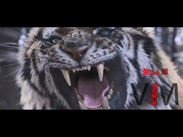 The Tiger: An Old Hunter's Tale -  Music Video