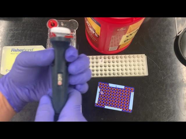 How to load an agarose gel