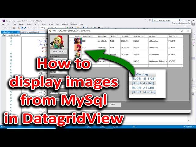 How to display image in datagridview [ VB.NET ]