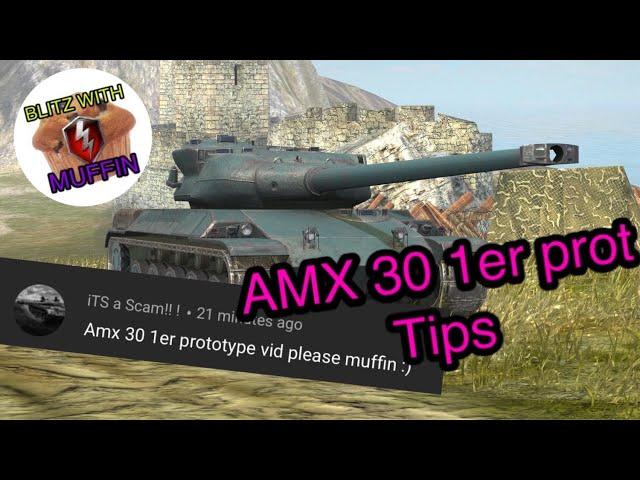 Tips and Tricks AMX 30 1er prot WOT Blitz