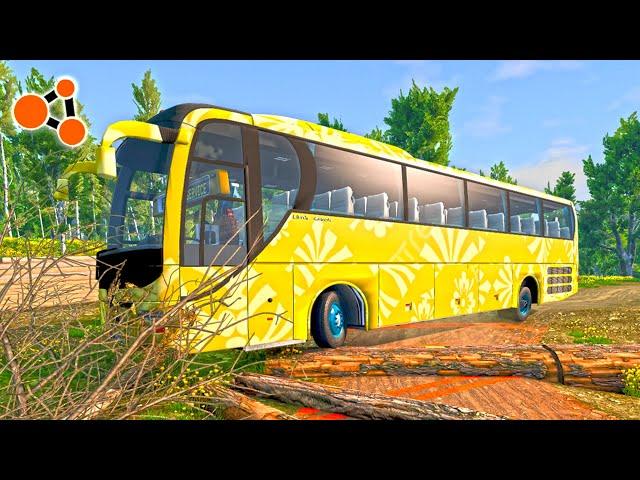 Fallen Tree vs Bus BeamNG.drive | Beamng Crashes TV