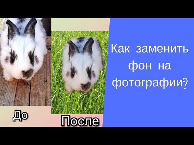 Как заменить фон на фотографии?