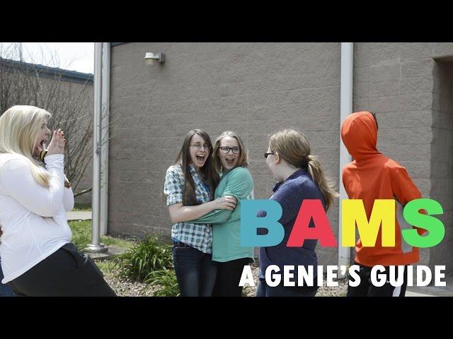 BAMS: A Genie's Guide