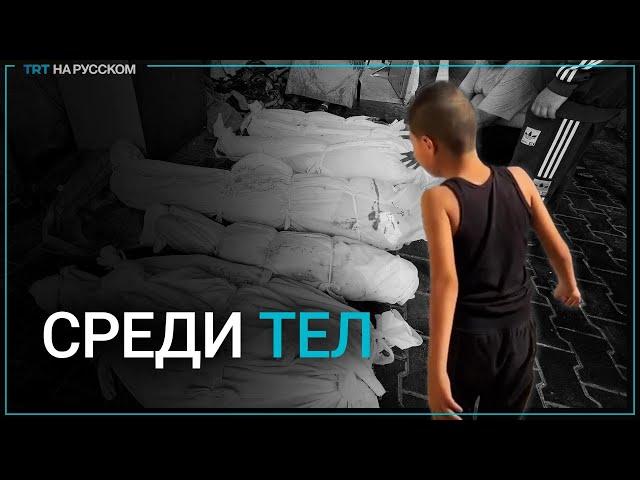 Ребенок ищет среди погибших в Газе свою семью