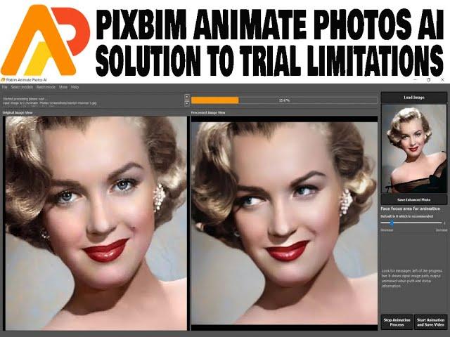 PIXBIM ANIMATE PHOTOS AI   SOLUTION TO TRIAL LIMITATIONS