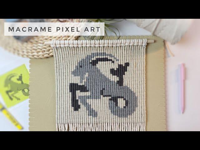 DIY Macrame Pixel Art | Capricorn Wall Hanging Tutorial