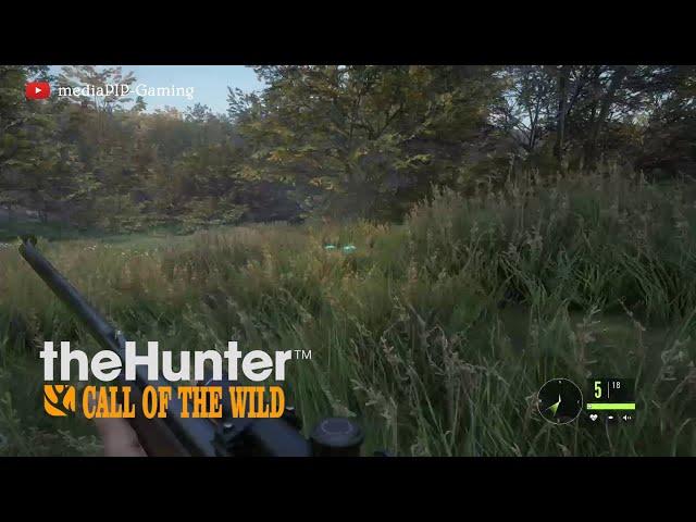 Hunter: Call of the Wild -- Gameplay No Commentary -- Xbox One