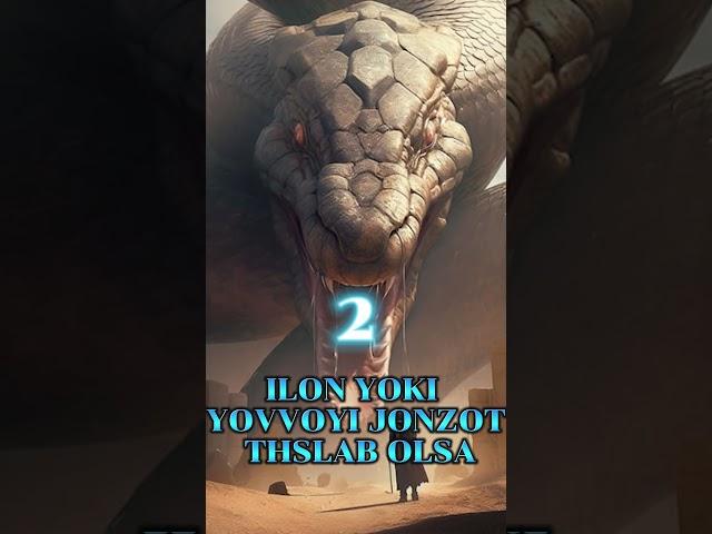 MA'NOSI ENG YOMON TUSHLAR #EngYomonTushlar #TushlarManosi #ITushlar #TushTabiri #IslomiyMaʼnolar