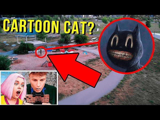 my drone finally caught a CARTOON CAT in REAL LIFE!