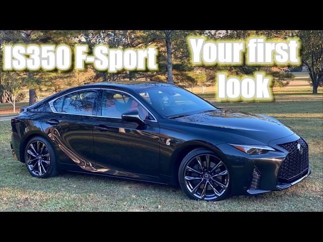 What you want to know about the 2024 Lexus IS350 F sport